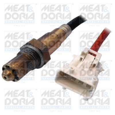 Oxygen Sensor
